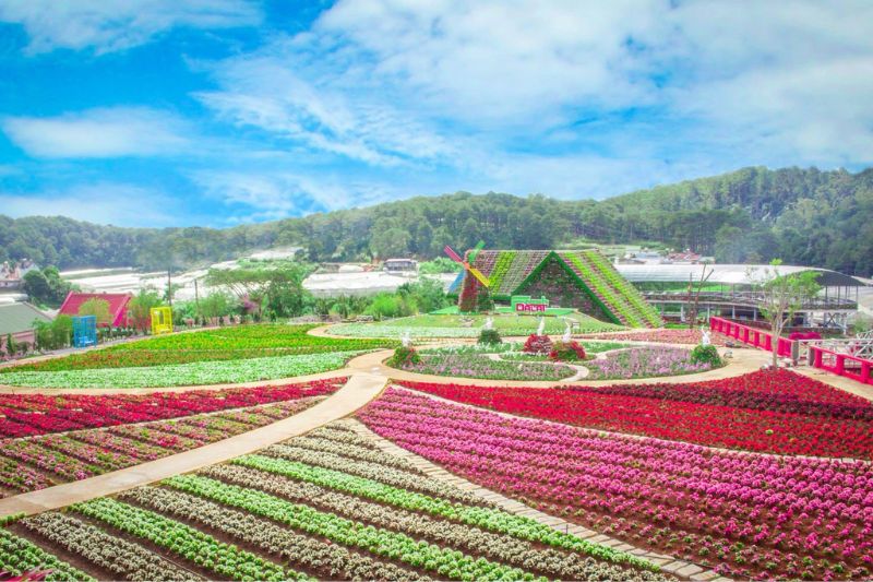 Van Thanh Flower Village Dalat: A 'shimmering' check-in point that virtual living enthusiasts cannot miss